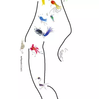 Oiseau en danse