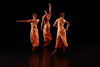 photo d'un spectacle avec3 danseurs de danse baroque de dos