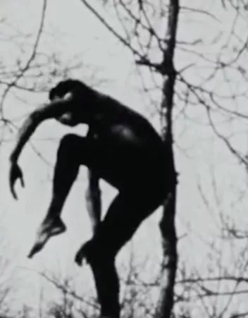 Photo noir et blanc d'un danseur dans un arbre