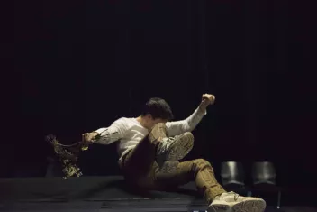 A dancer on the floor holding a branch