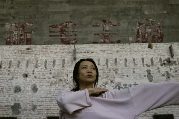 photo de l'artiste Wen Hui